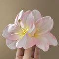 Sff895343beb5406d87effdaa3fae9f85Y